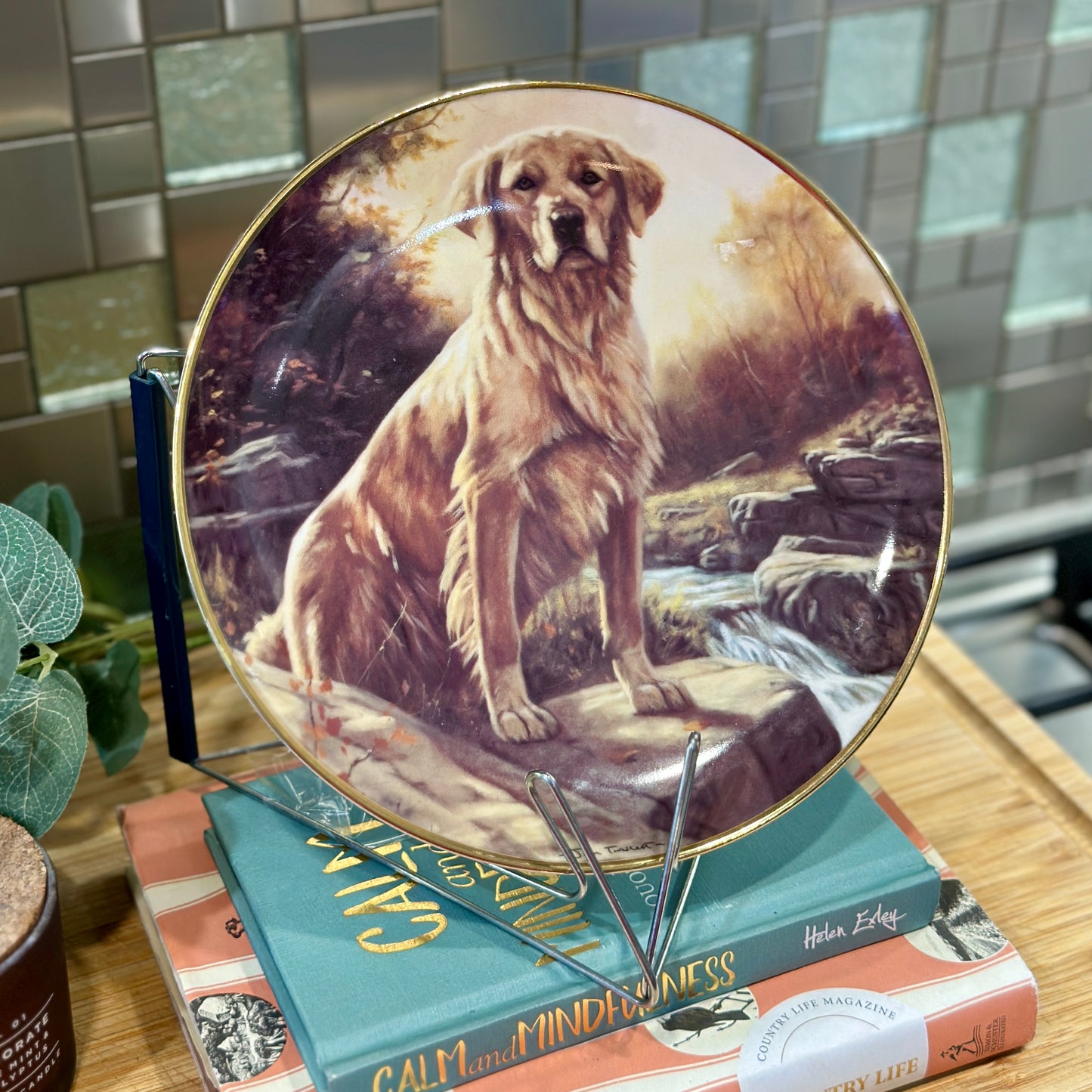 Golden Morning by John Trickett: Limited Edition Golden Retriever Collector's Plate