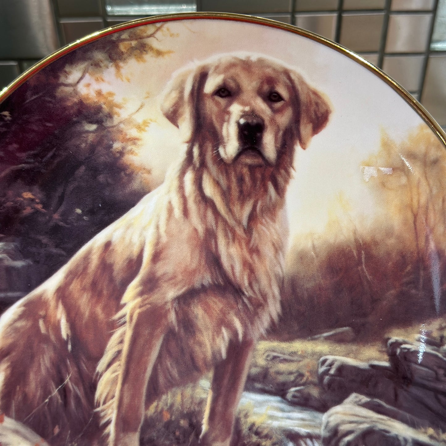 Golden Morning by John Trickett: Limited Edition Golden Retriever Collector's Plate