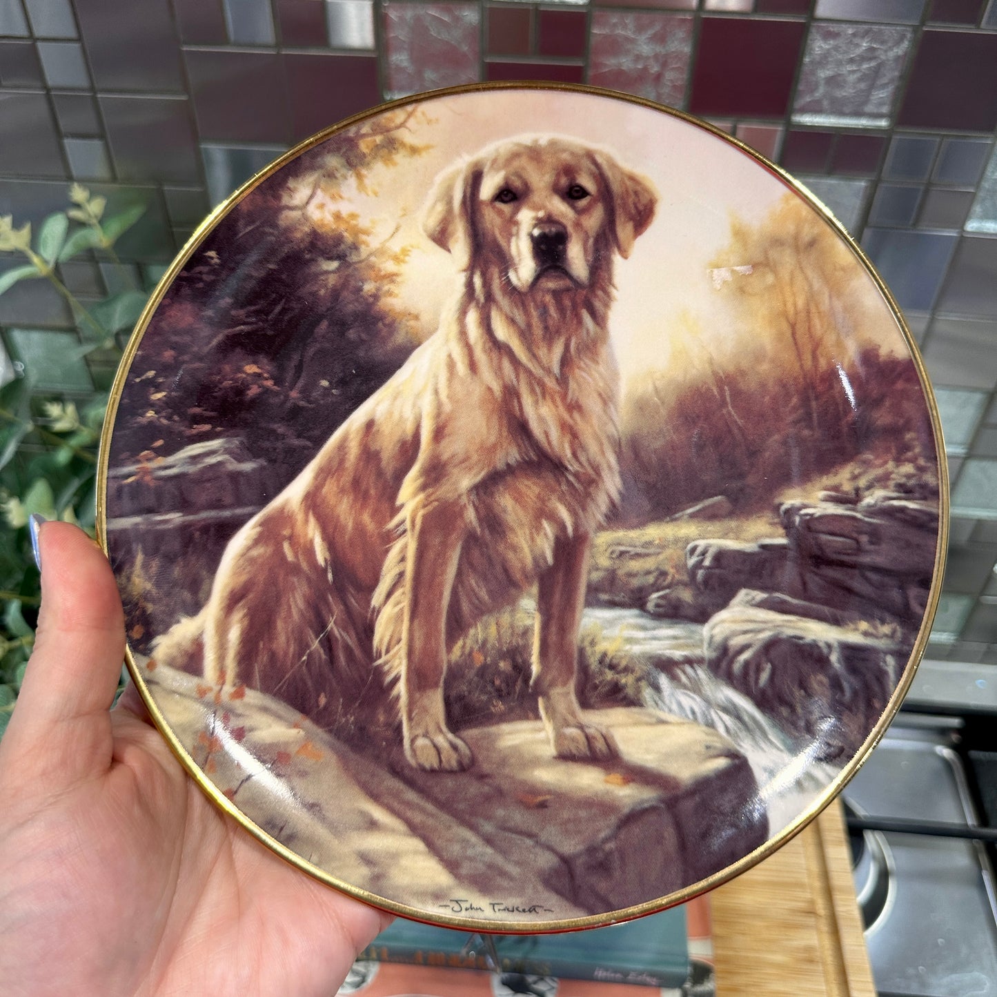 Golden Morning by John Trickett: Limited Edition Golden Retriever Collector's Plate